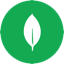 MongoDB